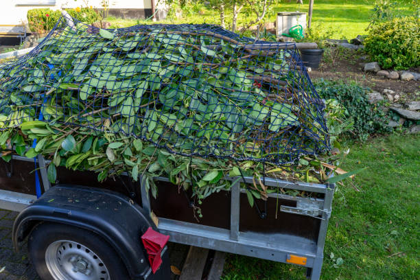 Best Electronics and E-Waste Disposal  in Orting, WA